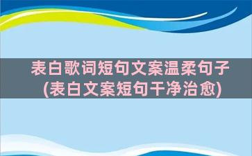 表白歌词短句文案温柔句子(表白文案短句干净治愈)