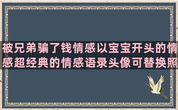 被兄弟骗了钱情感以宝宝开头的情感超经典的情感语录头像可替换照片(被兄弟骗了钱情感语录)