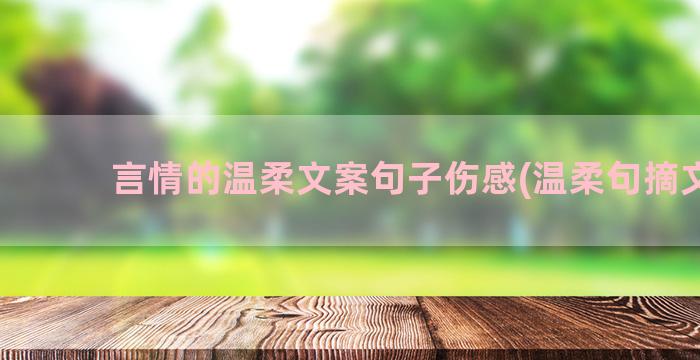 言情的温柔文案句子伤感(温柔句摘文案)