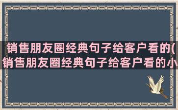 销售朋友圈经典句子给客户看的(销售朋友圈经典句子给客户看的小红书)