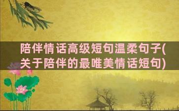 陪伴情话高级短句温柔句子(关于陪伴的最唯美情话短句)