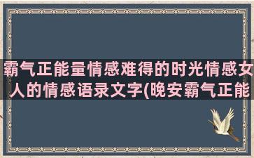 霸气正能量情感难得的时光情感女人的情感语录文字(晚安霸气正能量一句话)