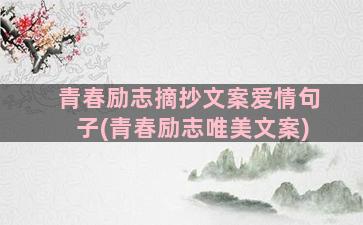 青春励志摘抄文案爱情句子(青春励志唯美文案)