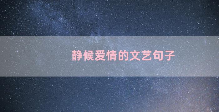 静候爱情的文艺句子