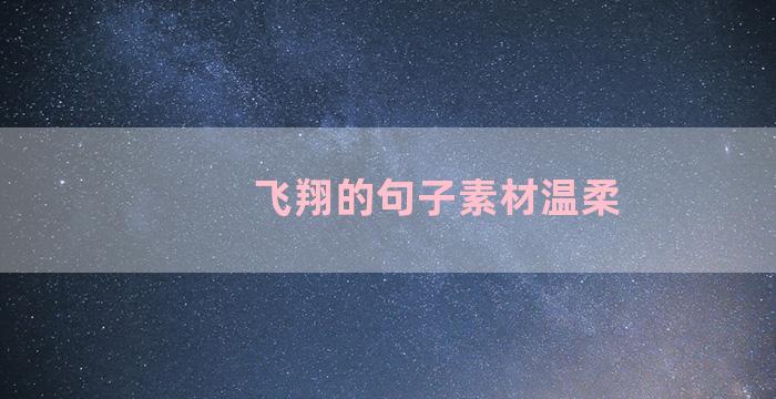 飞翔的句子素材温柔