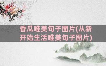 香瓜唯美句子图片(从新开始生活唯美句子图片)